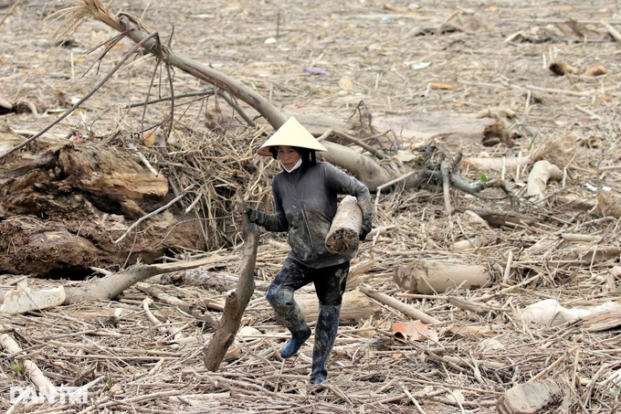 Nearly 700 tonnes of rubbish engulf Ha Tinh fishing port after floods - 5