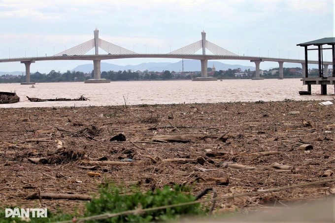 Nearly 700 tonnes of rubbish engulf Ha Tinh fishing port after floods - 8