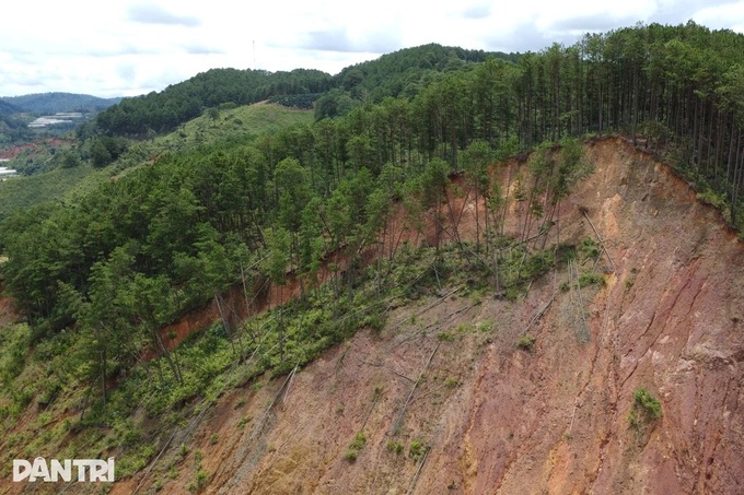 Dalat pine hill leaves residents in fear - 1