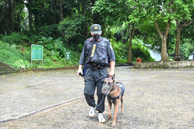 Rescue teams deploy dogs to search for missing tourist in Cuc Phuong - 1
