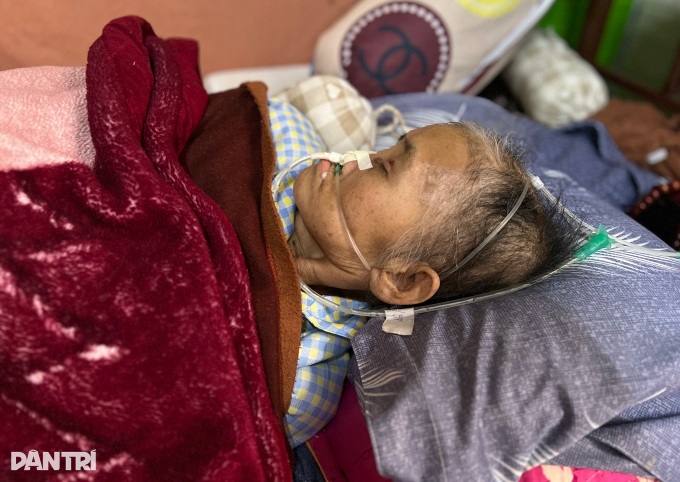 Husband exhausted caring for comatose wife in Dalat - 2