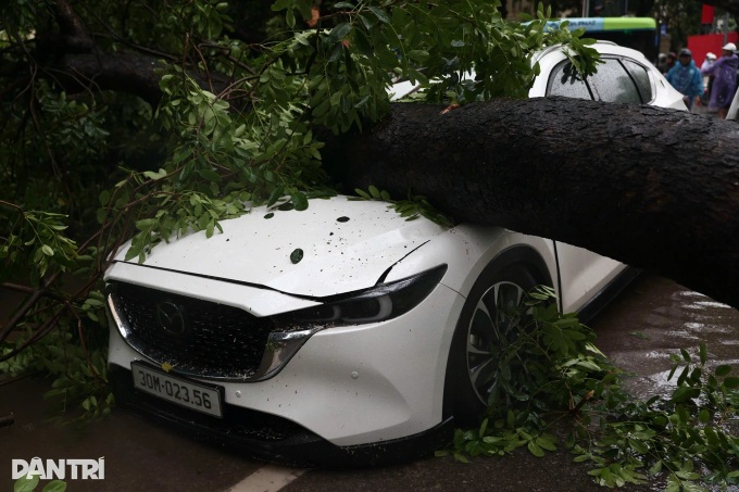 Overnight downpour turns Hanoi streets into rivers - 11 Overnight downpour turns Hanoi streets into rivers - 11