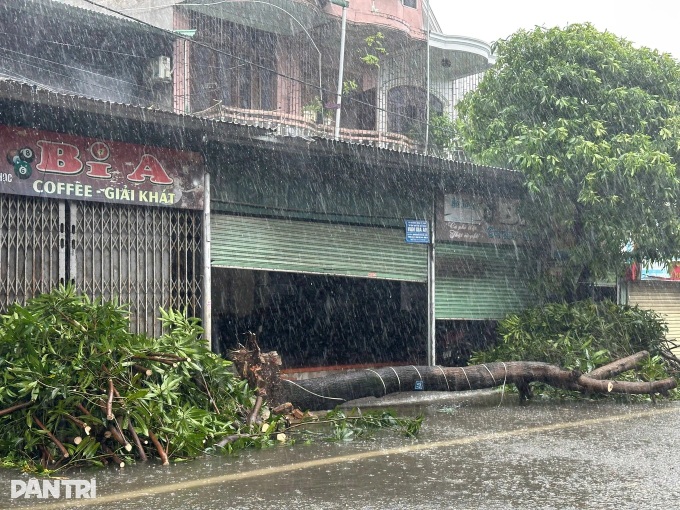 Typhoon Kajiki devastates Nghe An, leaving streets in ruins - 8