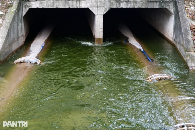 To Lich River shows signs of revival after receiving water from West Lake - 3 To Lich River shows signs of revival after receiving water from West Lake - 3