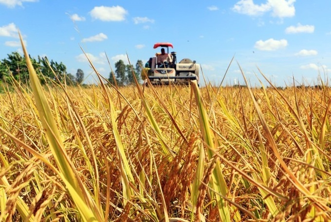 Mekong Delta moves toward low-emission, climate-friendly farming - 2