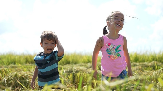Vietnam, Cuba premiere documentary to mark 80th National Day - 1