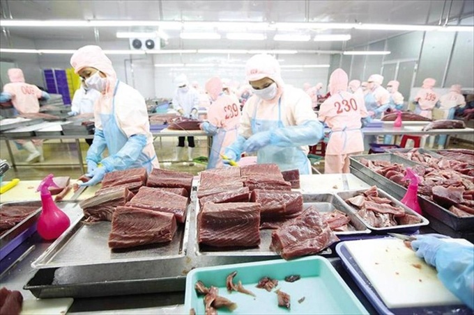 Vietnam seafood industry reeling after US import ban decision - 1