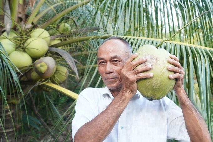 Vietnam’s coconut imports surge amid booming exports - 1
