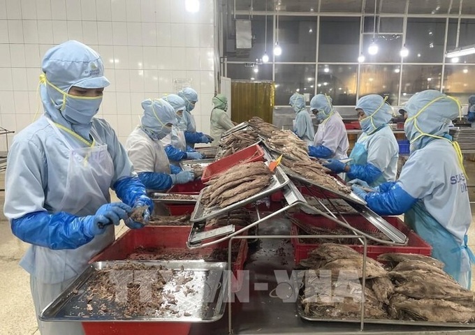 Vietnam eyes EU as key destination for agro-forestry-fishery exports - 1