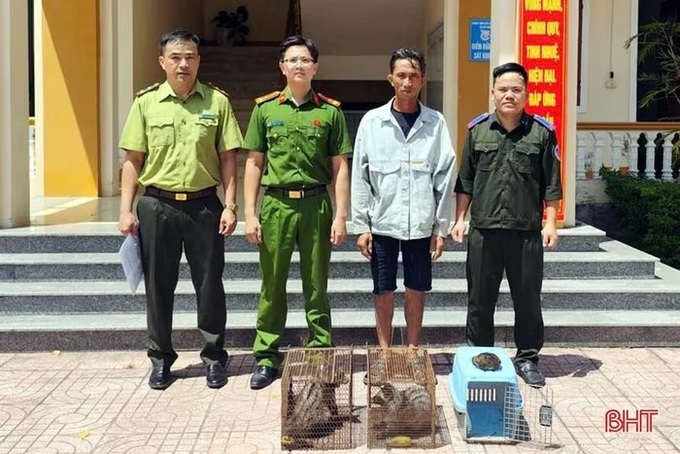 Ha Tinh man catches three wild animals in Acacia forest - 1