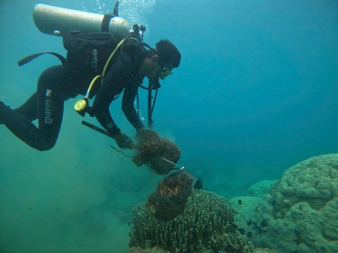 Divers collect 130kg of waste from Cham Islands seabed - 1 Divers collect 130kg of waste from Cham Islands seabed - 1
