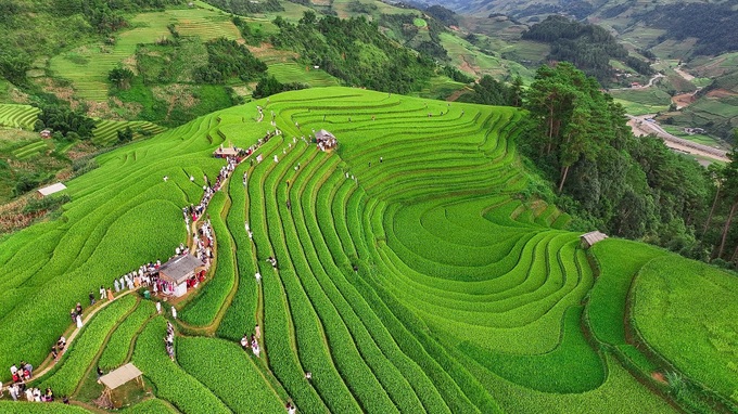 Tourists flock to Mu Cang Chai to see terraced fields - 3