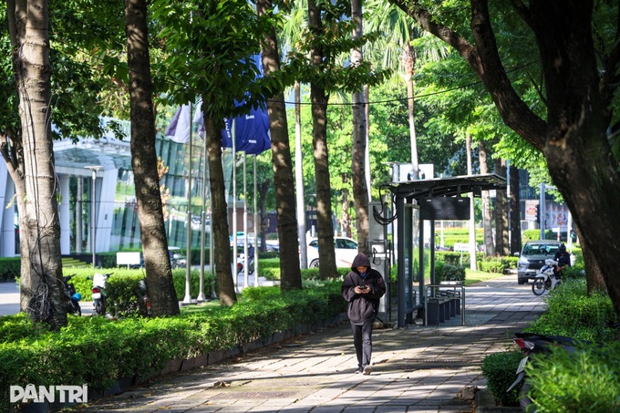 HCM City to launch first dedicated bicycle lane on Mai Chi Tho boulevard - 5