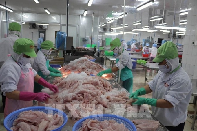 Turning seafood by-products into billion-dollar industry - 1