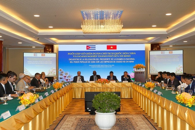 Cuba seeks further Vietnamese investment to push economic recovery - 1