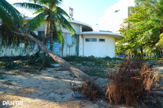 Thanh Hoa beach left in ruins and strewn with debris after Typhoon Bualoi - 3