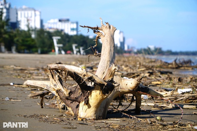 Thanh Hoa beach left in ruins and strewn with debris after Typhoon Bualoi - 4