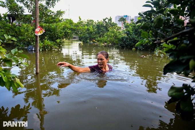 Hanoi area still severely flooded after Typhoon Bualoi - 7