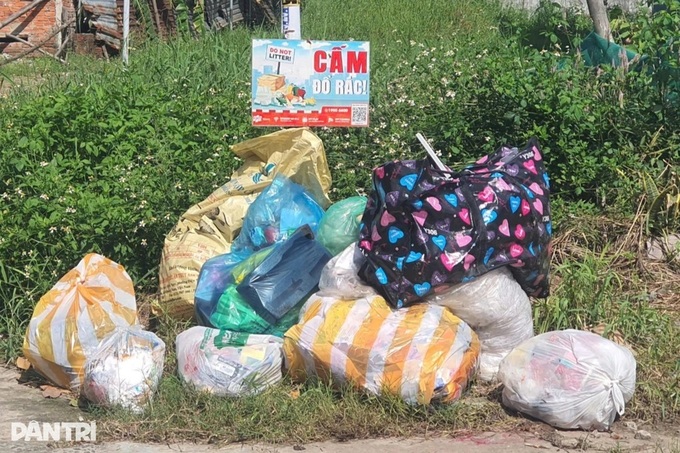 Waste plant shutdown sparks pollution outcry in Danang - 2