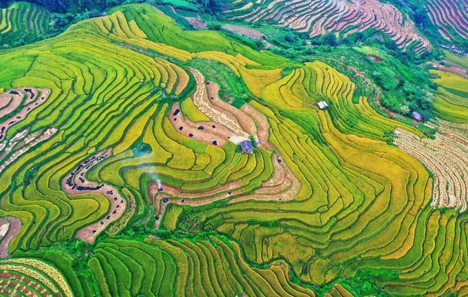 Lao Cai halts Muong Lo Culture and Tourism Festival - 1