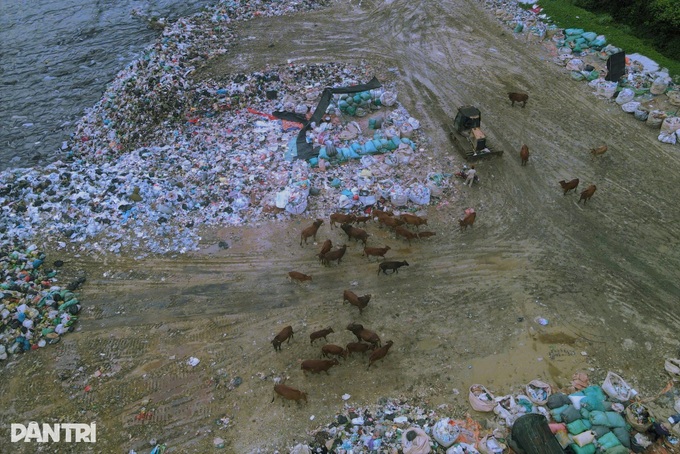 Ninh Binh’s long-standing rubbish site remains untreated - 6 Ninh Binh’s long-standing rubbish site remains untreated - 6