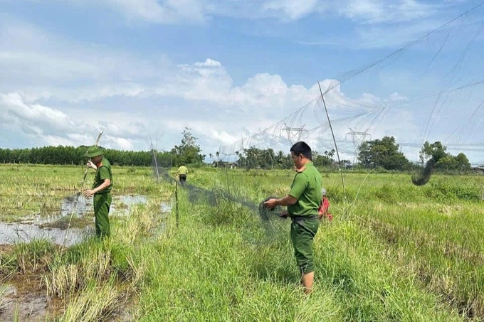 Hundreds of bird traps dismantled in Quang Tri - 1 Hundreds of bird traps dismantled in Quang Tri - 1