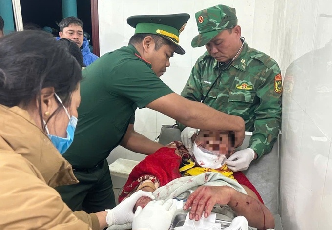 Wild elephants spotted in Lam Dong, bear attacks man in Danang - 3 Wild elephants spotted in Lam Dong, bear attacks man in Danang - 3