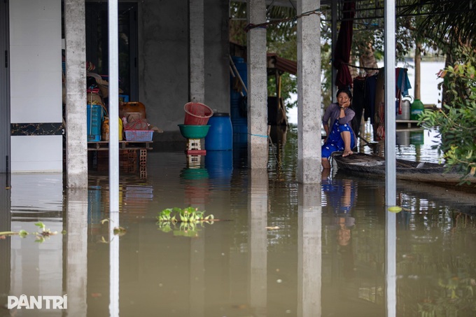Dong Thap Muoi residents struggle amid worst flooding in years - 7