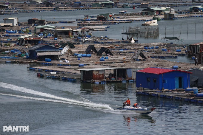 Exploring the charm of HCM City’s island commune - 8 Exploring the charm of HCM City’s island commune - 8