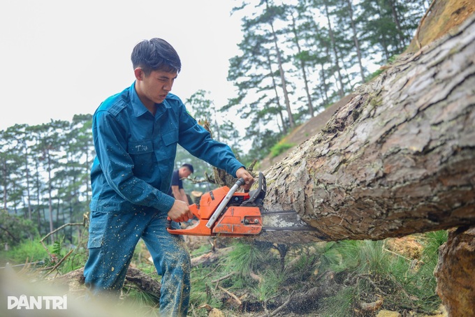 Landslides block mountain pass linking Dalat and Khanh Hoa coast - 5 Landslides block mountain pass linking Dalat and Khanh Hoa coast - 5