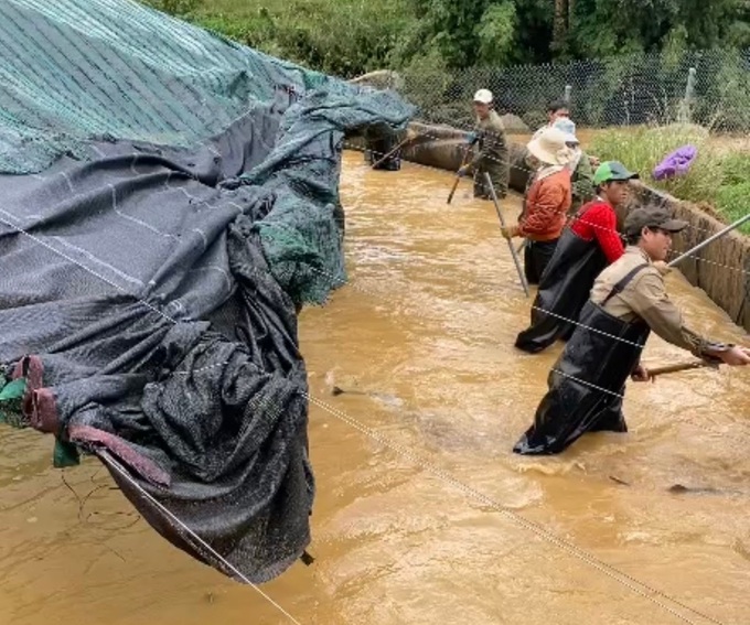 Landslide isolates more than 400 households in Quang Ngai - 2 Landslide isolates more than 400 households in Quang Ngai - 2