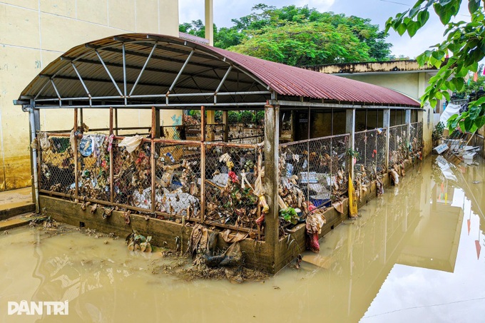 Mud and debris blanket Danang as floods recede - 8 Mud and debris blanket Danang as floods recede - 8