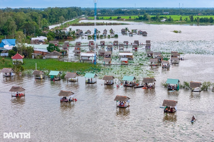 Mekong Delta residents enjoy field bathing in flood season - 1 Mekong Delta residents enjoy field bathing in flood season - 1