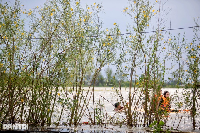 Mekong Delta residents enjoy field bathing in flood season - 5 Mekong Delta residents enjoy field bathing in flood season - 5