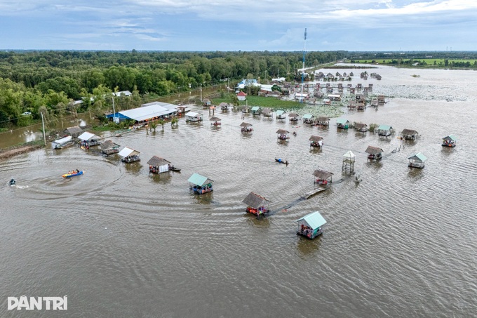 Mekong Delta residents enjoy field bathing in flood season - 9 Mekong Delta residents enjoy field bathing in flood season - 9