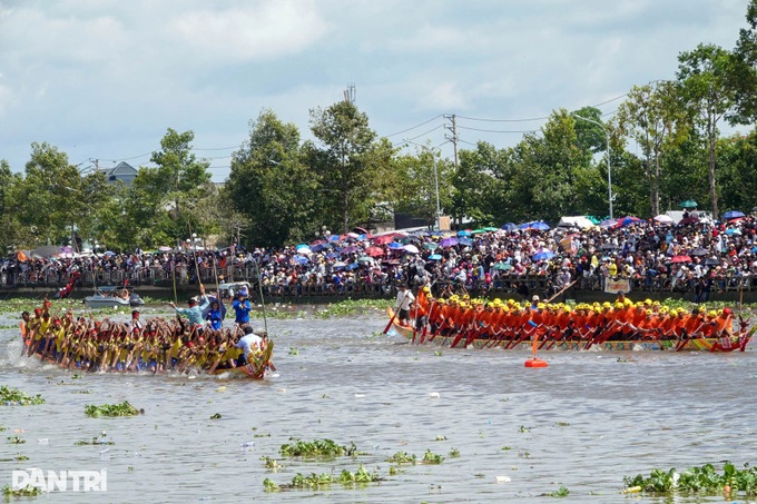 61 teams compete at Can Tho boat race festival - 8 61 teams compete at Can Tho boat race festival - 8