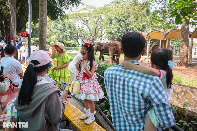 Saigon Zoo reports profit of nearly VND 5 billion - 1