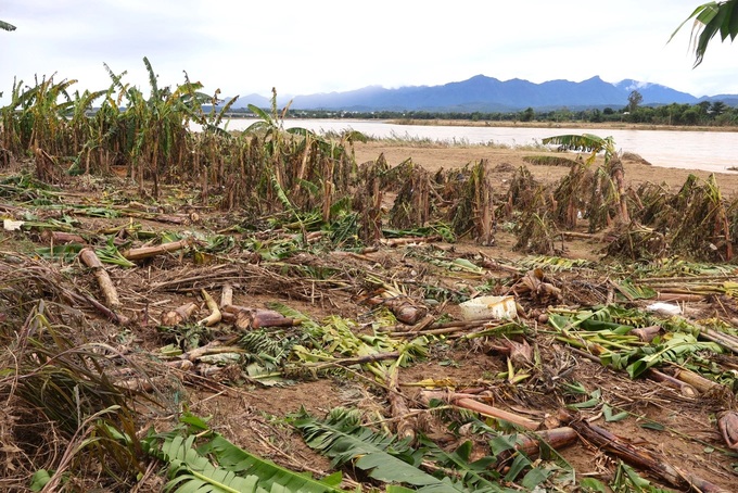Danang vegetable village devastated following historic flooding - 2 Danang vegetable village devastated following historic flooding - 2