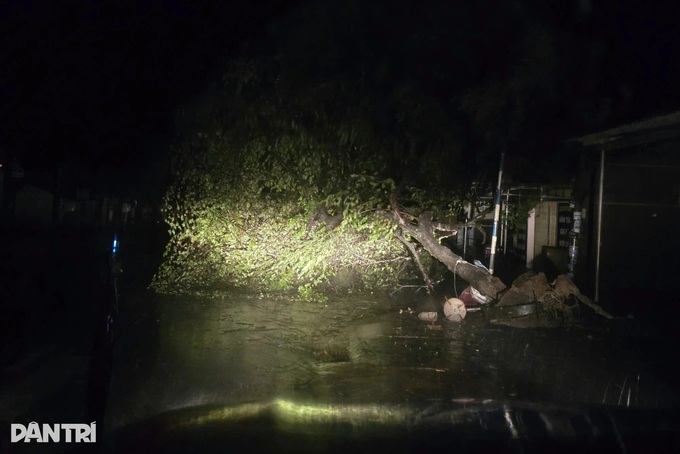 Kalmaegi weakens and moves into Laos - 4 Kalmaegi weakens and moves into Laos - 4