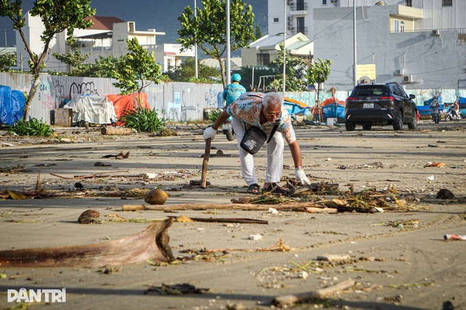 Trees toppled across Danang beaches and streets after Typhoon Kalmaegi - 9 Trees toppled across Danang beaches and streets after Typhoon Kalmaegi - 9