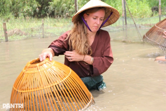 Foreign visitors ride buffaloes and plant rice in Ninh Binh - 2 Foreign visitors ride buffaloes and plant rice in Ninh Binh - 2