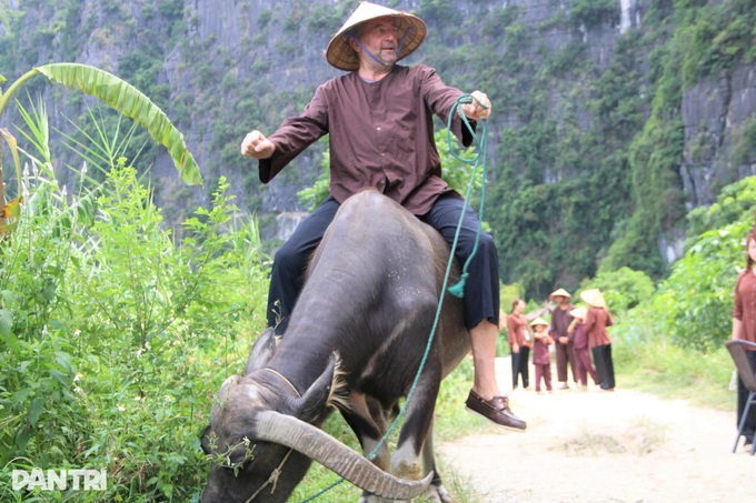 Foreign visitors ride buffaloes and plant rice in Ninh Binh - 4 Foreign visitors ride buffaloes and plant rice in Ninh Binh - 4