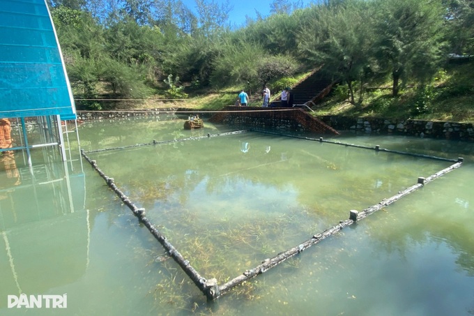 Torrential rain floods Hue's ancient Cham tower - 3 Torrential rain floods Hue's ancient Cham tower - 3