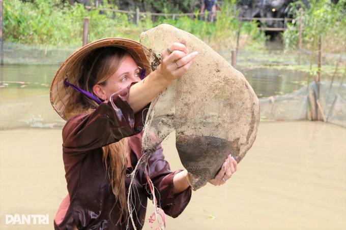 Foreign visitors ride buffaloes and plant rice in Ninh Binh - 6 Foreign visitors ride buffaloes and plant rice in Ninh Binh - 6
