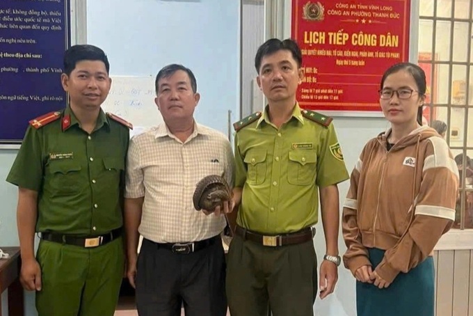 Lost Javan pangolin rescued in Vinh Long - 1 Lost Javan pangolin rescued in Vinh Long - 1