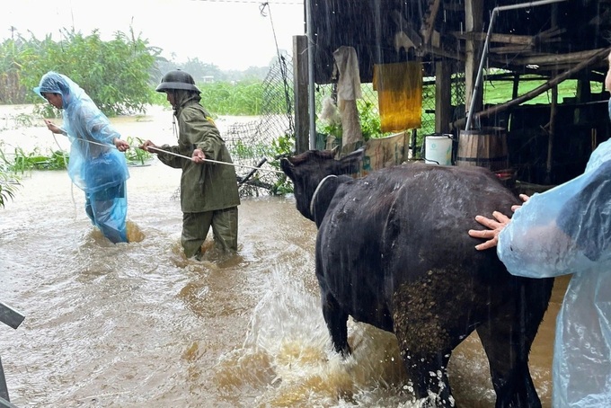 Central Vietnam braced for days of heavy rain - 1