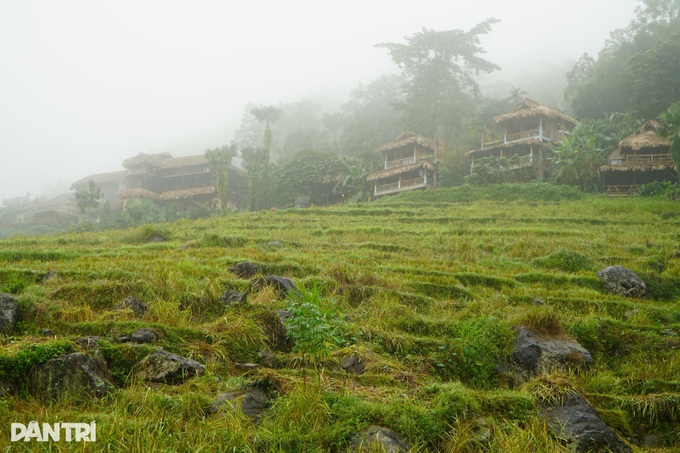 Pu Luong’s dreamy mist creates breathtaking scene - 5 Pu Luong’s dreamy mist creates breathtaking scene - 5