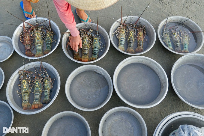 Vietnam earns nearly USD 4 billion from shrimp exports in ten months - 1 Vietnam earns nearly USD 4 billion from shrimp exports in ten months - 1