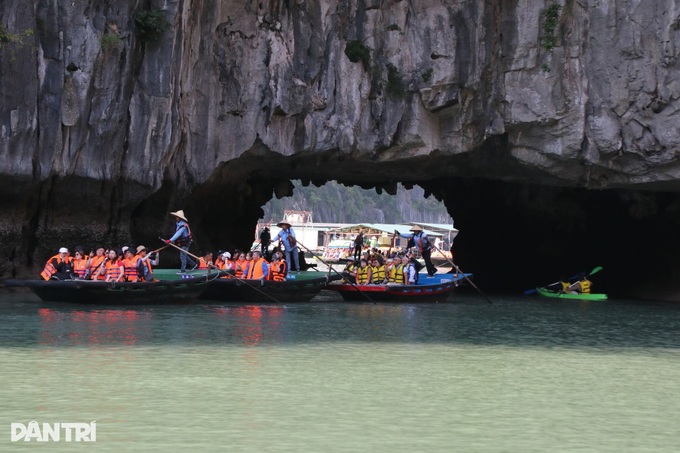 Kayaking through Luon Cave reveals tranquil side of Ha Long Bay - 1