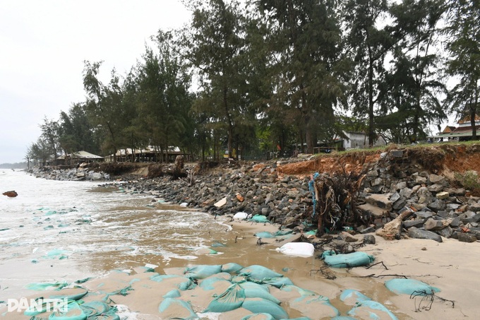 Storm and flood-tide surges ravage Quang Ngai beach - 7